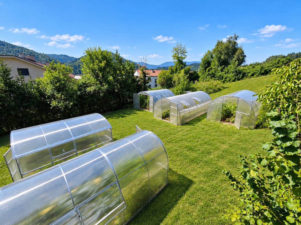 Pogled na Deželo rastlinjakov, obdano z drevesi in hribi.