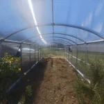 Notranjost rastlinjaka Maxy FARM 3m