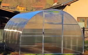 Rastlinjak Maxy Simple v večernem soncu